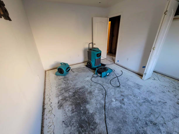 Best Water damage contractors near me  in Walker Mill, MD