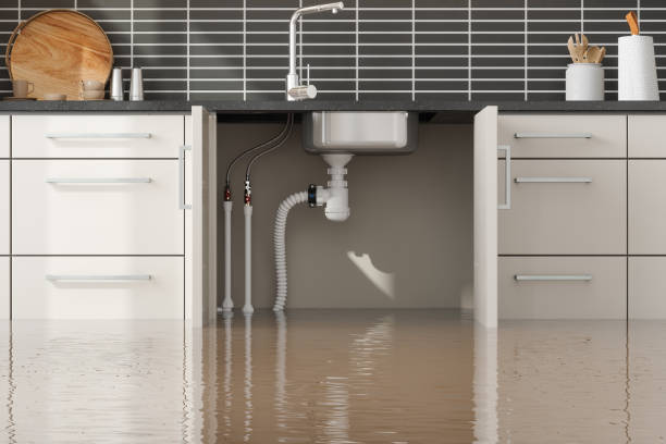 Best Water damage contractors near me  in Walker Mill, MD