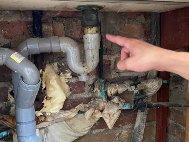 Best Flood damage cleanup  in Walker Mill, MD